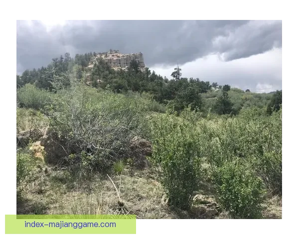 新墨西哥联队以3比2战胜科罗拉多泉波路 迎来精彩胜利